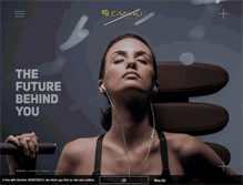 Tablet Screenshot of canalisystem.com